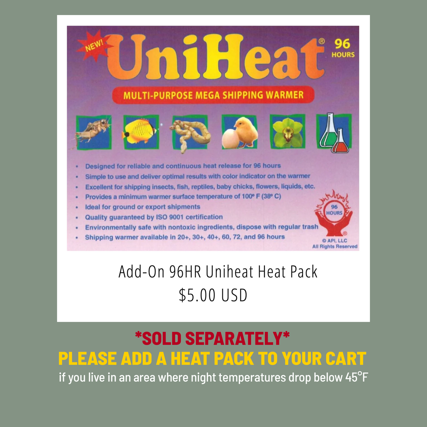 Anthurium (Carlablackiae X Anthurium Papillilaminum) F3 X Anthurium Crystallinum THREE-LEAF Seedlings